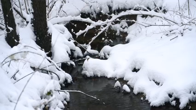 暴风雪城市漫步、森林踏雪、冰岛海浪