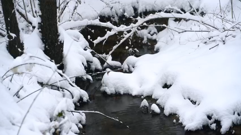 暴风雪城市漫步、森林踏雪、冰岛海浪