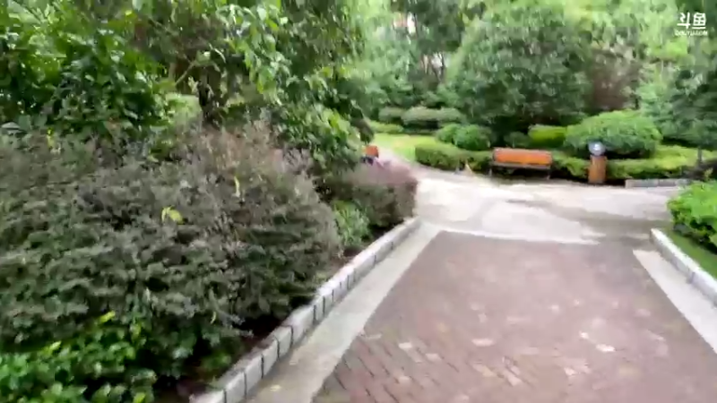 【2021-08-15 17点场】驴酱的冯雨大王：冯雨大王：新人主播，求个关注~