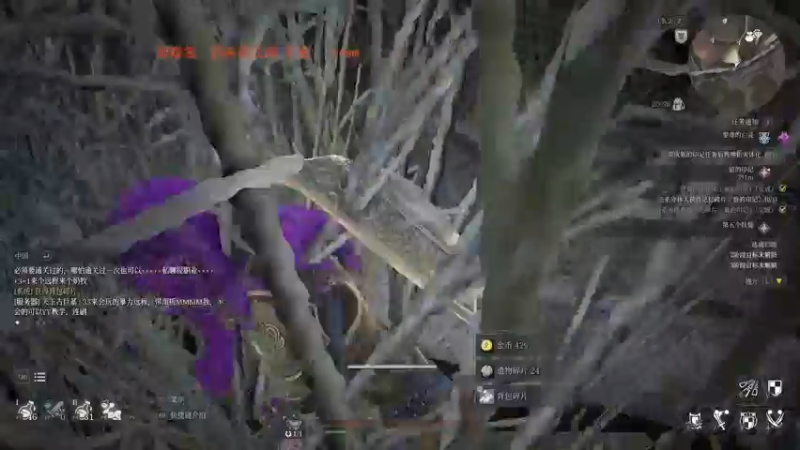 【2021-08-16 16点场】双木zzz：网络一线牵 关注点一点