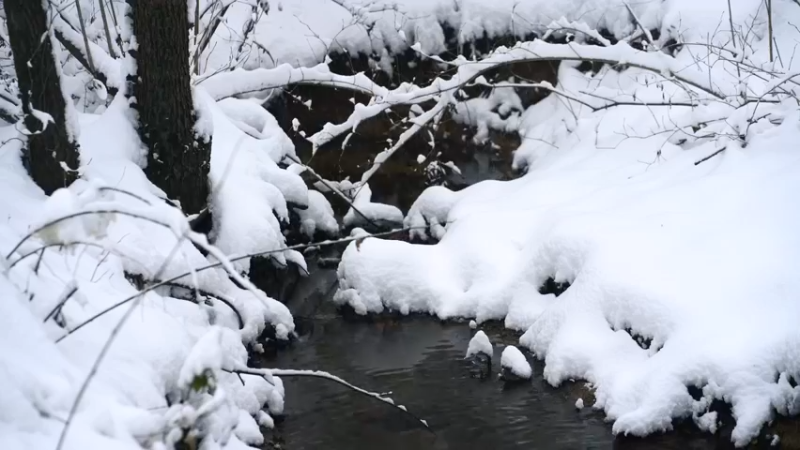暴风雪城市漫步、森林踏雪、冰岛海浪