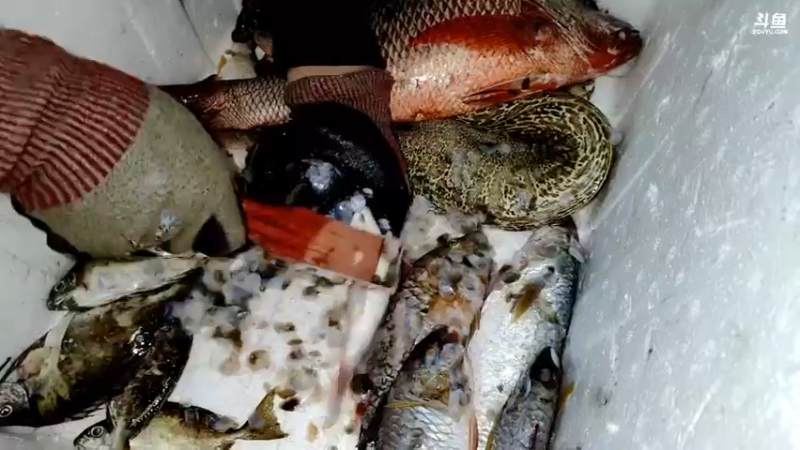 【2021-08-16 04点场】海道丶：17日全网海底直播首秀
