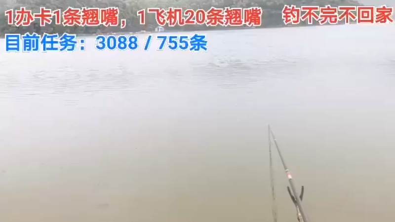 【2021-08-16 15点场】中华户外钓鱼：换钓场能完成多少