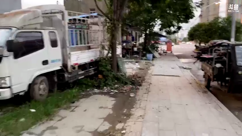 【2021-08-15 19点场】驴酱的冯雨大王：冯雨大王：新人主播，求个关注~