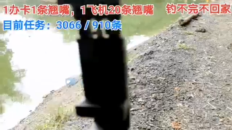【2021-08-17 14点场】中华户外钓鱼：中华流浪记之第六天