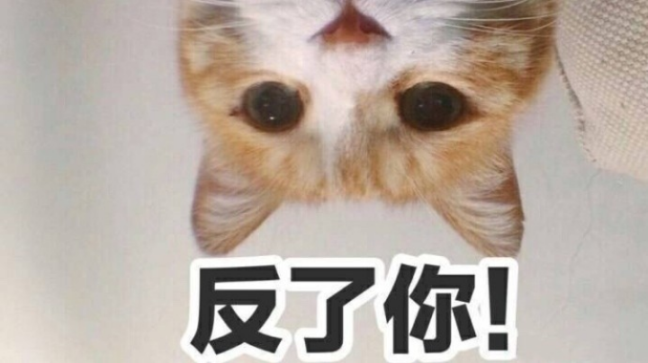 游戏日常嗨起来~