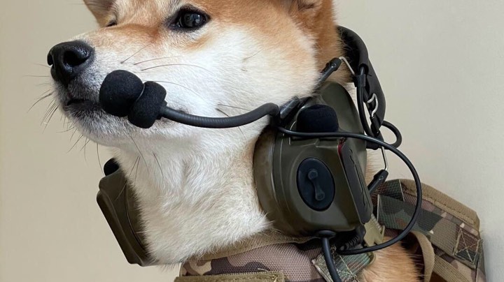 势力战