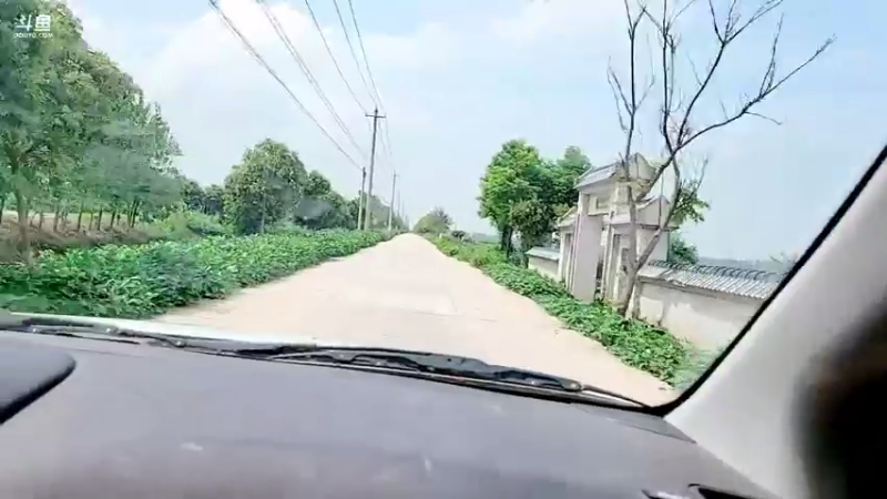 【2021-08-17 14点场】洪湖小肖：双倍亲密度，两点左右开播~