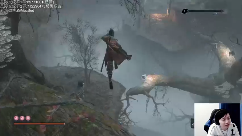 【2021-08-17 17点场】igmacsed：2-3点智力3-5星际5-8只狼