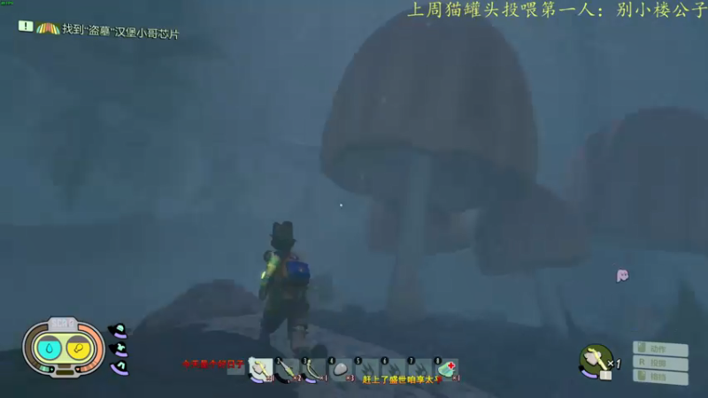 【2021-08-16 23点场】莫药师：今天的莫药师出船了吗？没有！