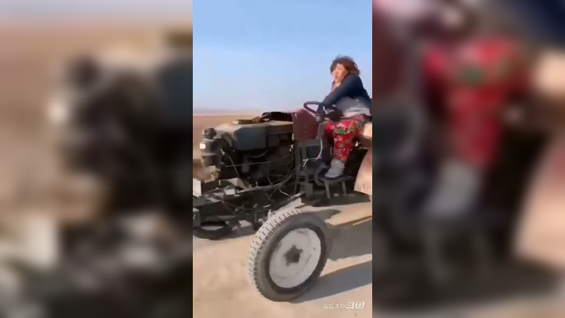 8月谁加入粉丝团，过几天我就给谁家收麦子和稻谷，最近一直在外练拖拉机技术 有相中的，甩位置给我就行 别发语音，风太大我听不见