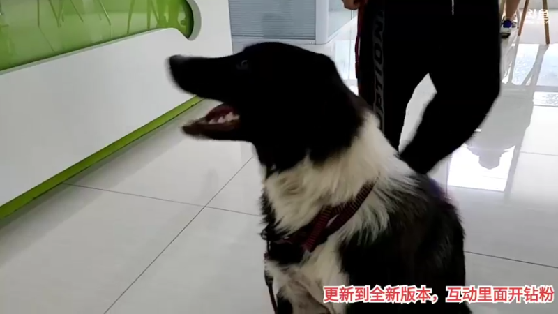 【2021-08-17 15点场】逐梦兄弟：基地疯狂划水