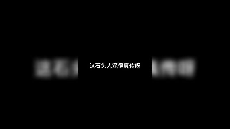这石头人深得真传呀