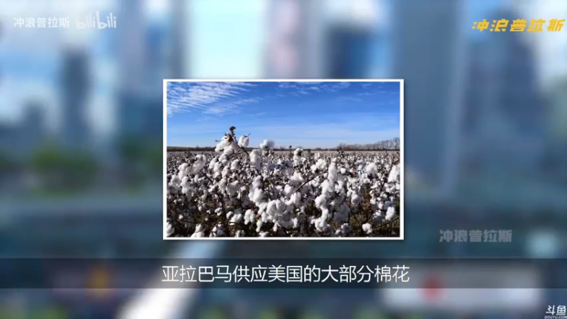 【2021-08-18 16点场】猫叔灬灬：【猫叔】 21点宝可梦直面会 儒雅随和~