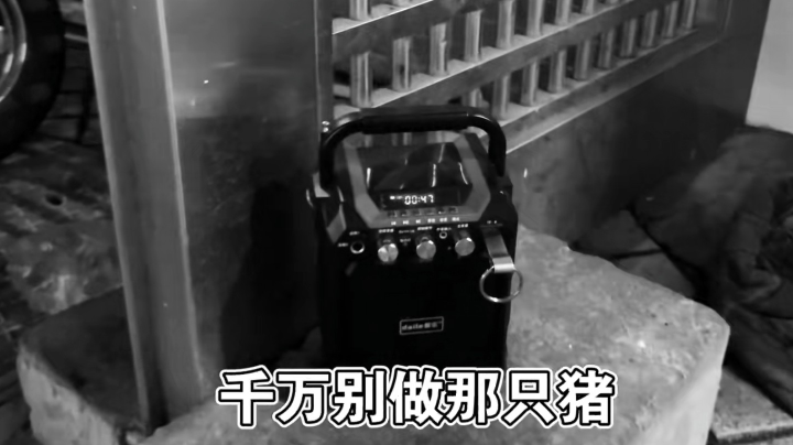 天天狼人-直播录像20210818竞技场第二局狼输