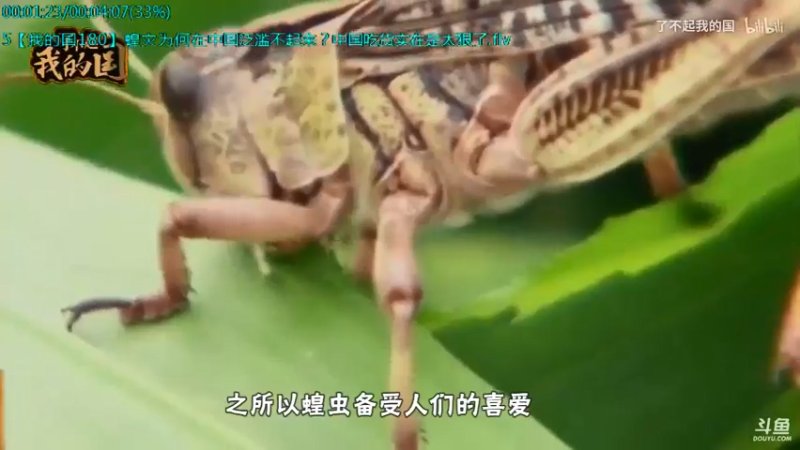 【2021-08-18 08点场】了不起我的国：解放军战力最强兵种： 炊事兵