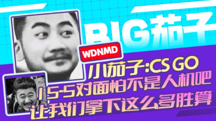 茄子：CS GO,15-5对面怕不是人机吧让我们拿下这么多胜算（22）