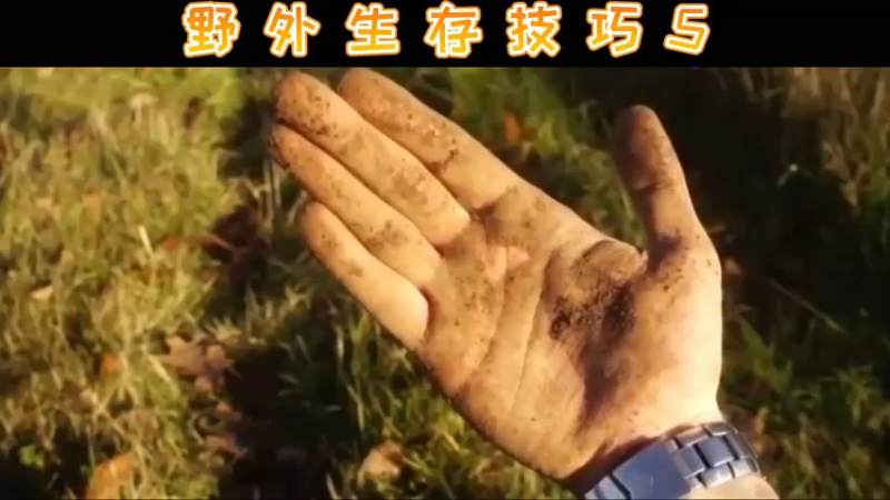 野外生存技巧5