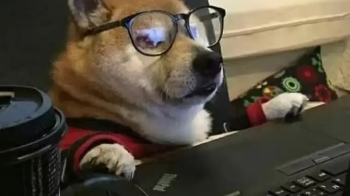 录像