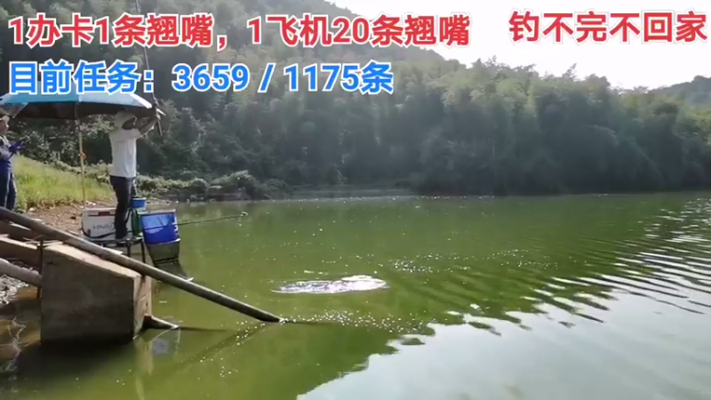 【2021-08-18 16点场】中华户外钓鱼：中华流浪记之第七天