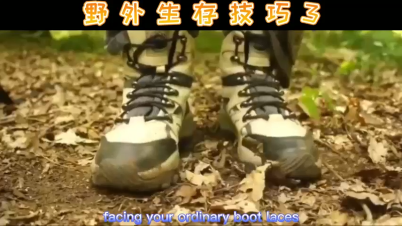 野外生存技巧3