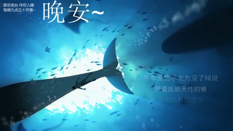 【2021-08-18 03点场】杨一歌：杨一歌：带你去炸鱼11258