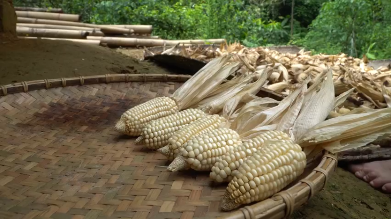 第三季S03耕耘收获第三季15投个币吧【真人我的世界-空手发展-单人炼铁】