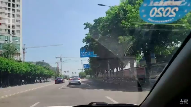 【2021-08-19 11点场】逐梦兄弟：晚上8点《才气冲天的哥哥》冲冲冲