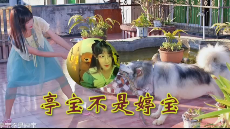 婷宝LOL下饭操作