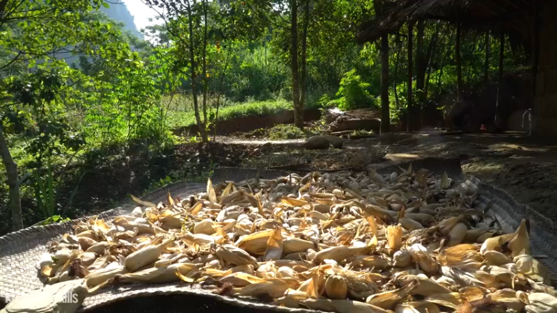 第三季S03耕耘收获第三季9投个币吧【真人我的世界-空手发展-单人炼铁】