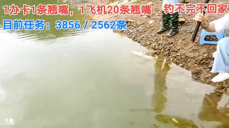 【2021-08-19 14点场】中华户外钓鱼：中华流浪记之第八天