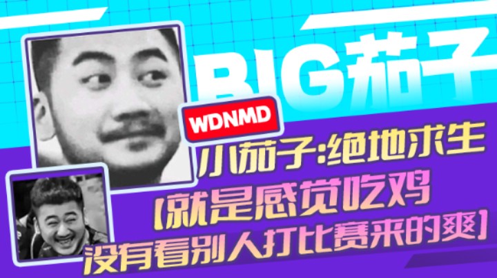 茄子：吃鸡游戏,就是感觉吃鸡没有看别人打比赛来的爽（20)
