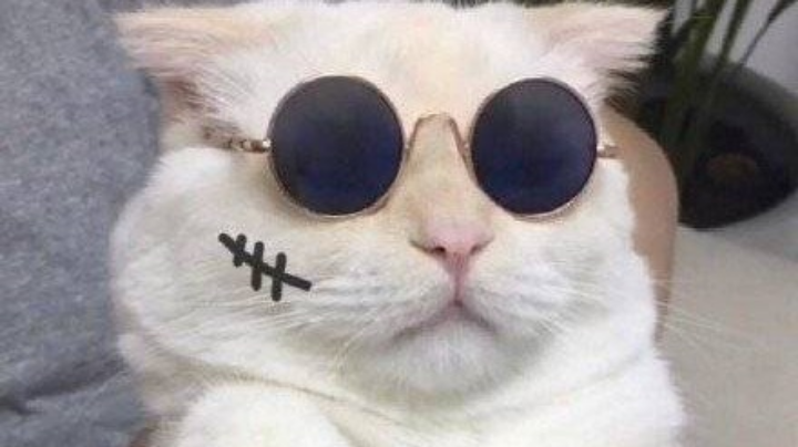 桃源生活