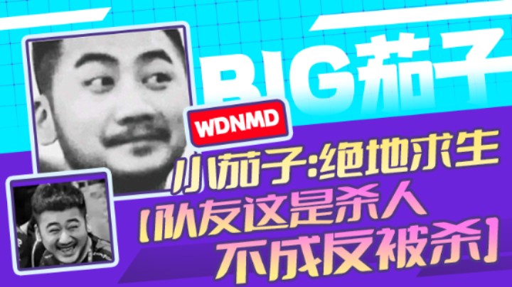 茄子：吃鸡游戏，队友这是杀人不成反被杀（27）