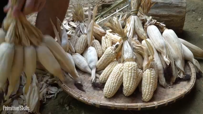 第三季S03耕耘收获第三季16投个币吧【真人我的世界-空手发展-单人炼铁】