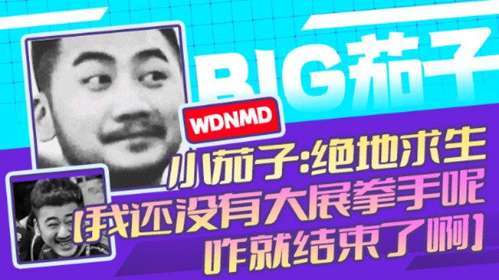 茄子：吃鸡游戏，我还没有大展拳手呢咋就结束了啊（14）