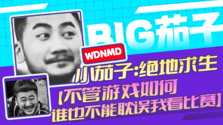 茄子：吃鸡游戏，不管游戏如何谁也不能耽误我看比赛（21)