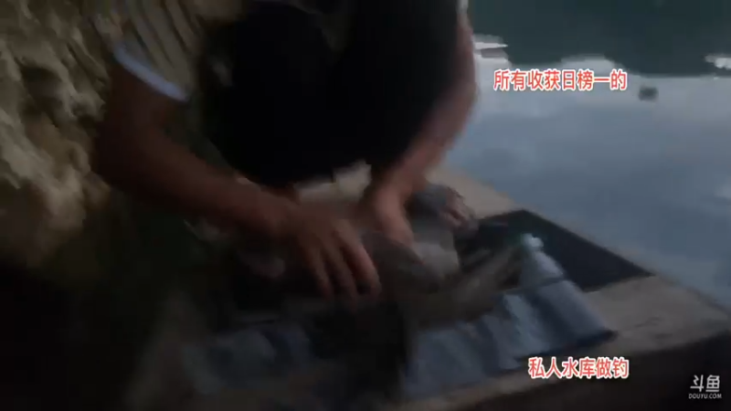 【2021-08-19 19点场】魅力生活i：开心打野快乐美食