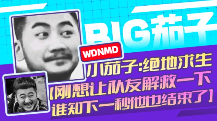 茄子：吃鸡游戏，刚想让队友解救一下，谁知下一秒他也结束了（33)
