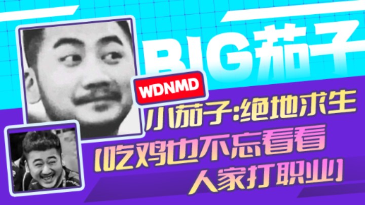 茄子：吃鸡游戏，吃鸡也不忘看看人家打职业（15）