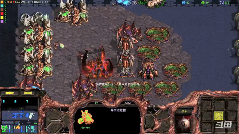 【2021-08-18 21点场】星际DSA联赛：天使風暴™️ 專業版