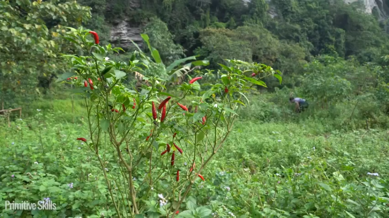 第三季S07打野吃吃吃美味蜗牛12【真人我的世界-空手发展-单人炼铁】