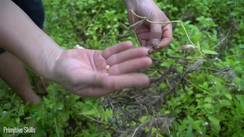 第三季S03耕耘收获第三季10投个币吧【真人我的世界-空手发展-单人炼铁】