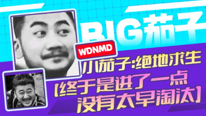 茄子：吃鸡游戏，终于是进了一点，没有太早淘汰（26）