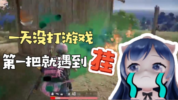 【一条小团团】大无语事件，一天没打游戏第一把居然遇到个透？？？