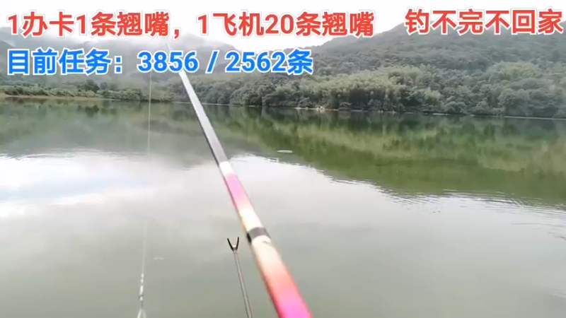 【2021-08-19 16点场】中华户外钓鱼：中华流浪记之第八天