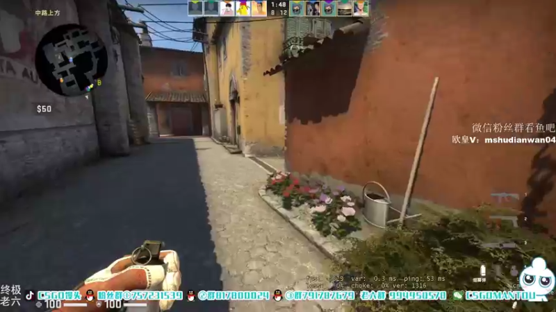 【2021-08-19 12点场】CSGO馒头：谁是钻粉5号选手