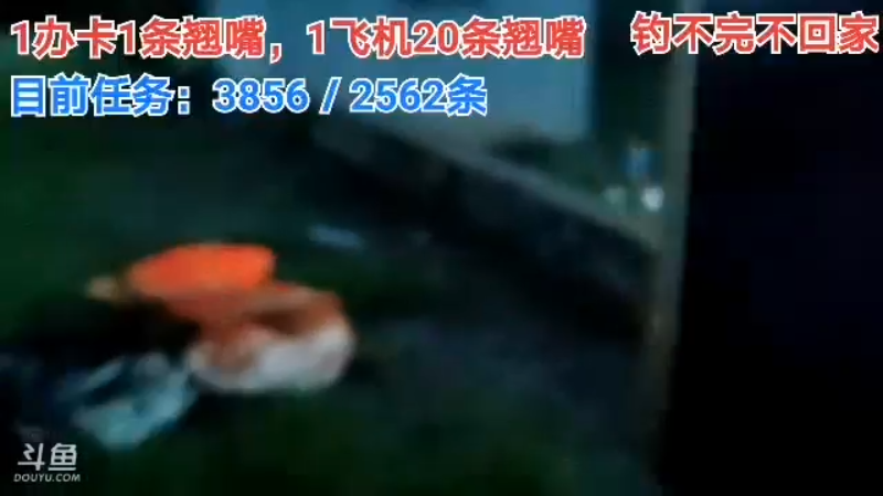 【2021-08-19 19点场】中华户外钓鱼：中华流浪记之第八天