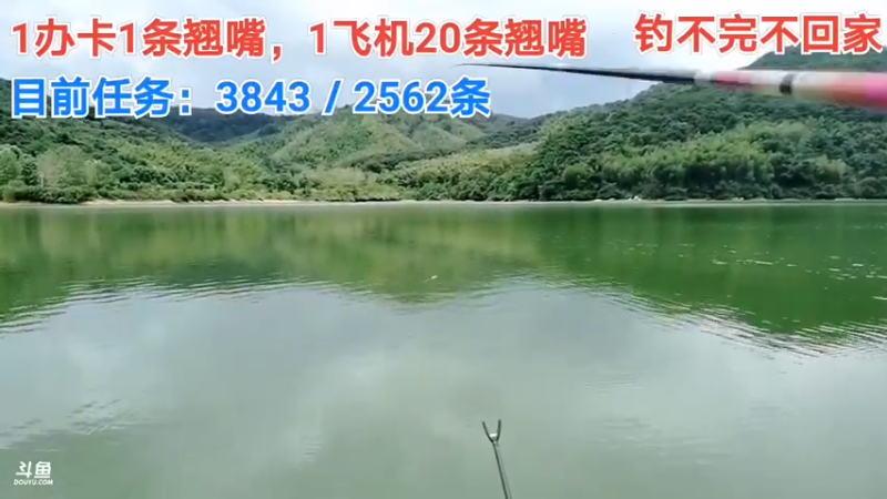 【2021-08-19 10点场】中华户外钓鱼：中华流浪记之第八天