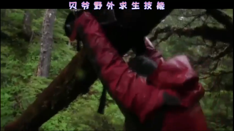贝爷野外求生技能！